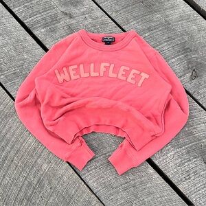 Y2K Polo Sport Cropped Wellfleet Sweatshirt